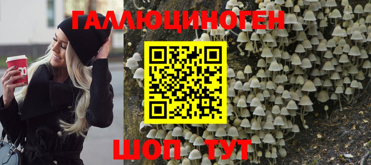 Галлюциногенные грибы Cubensis  Галлюциногенные грибы Magic Shrooms  Шебекино  Вход с VPN 