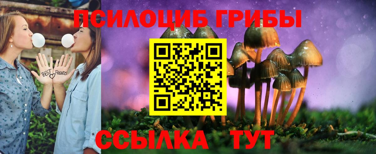 Галлюциногенные грибы GOLDEN TEACHER Шебекино